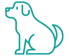 icon_01.png